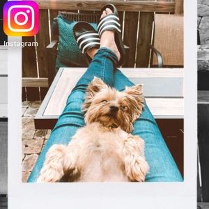 Meet your Posher, Katrina cousins